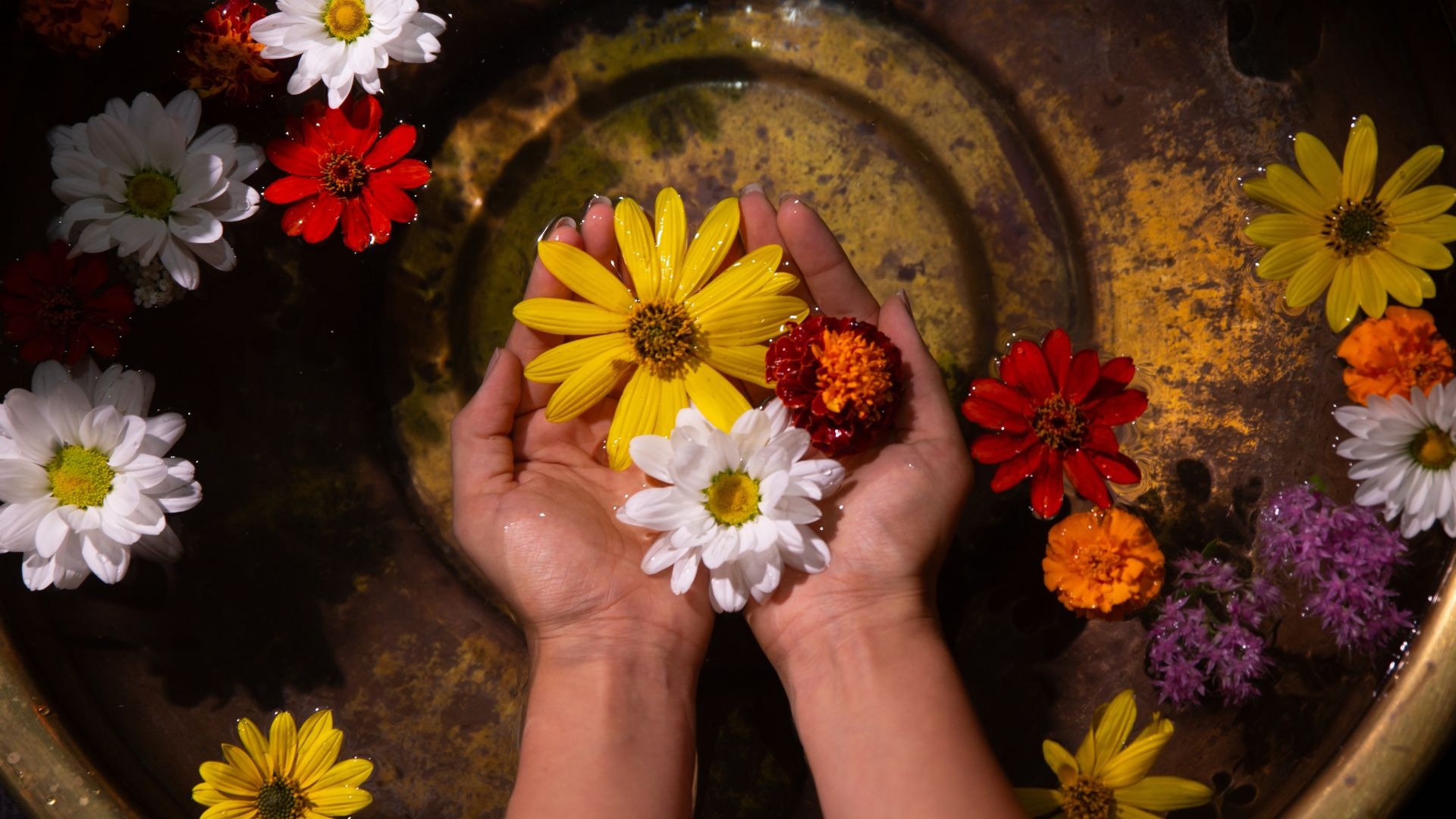 Ayurvedic Journal
